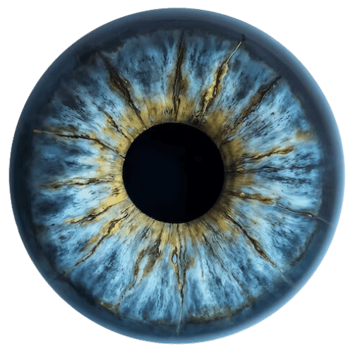 irismuseum