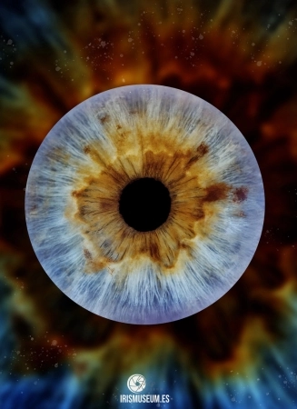 iris2
