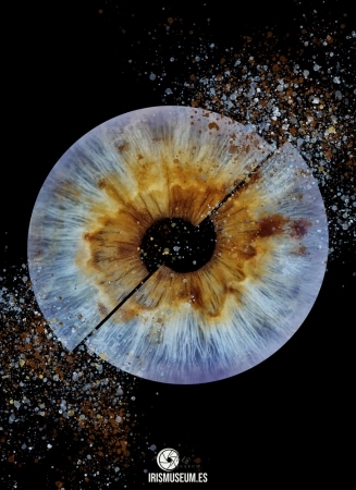 iris3