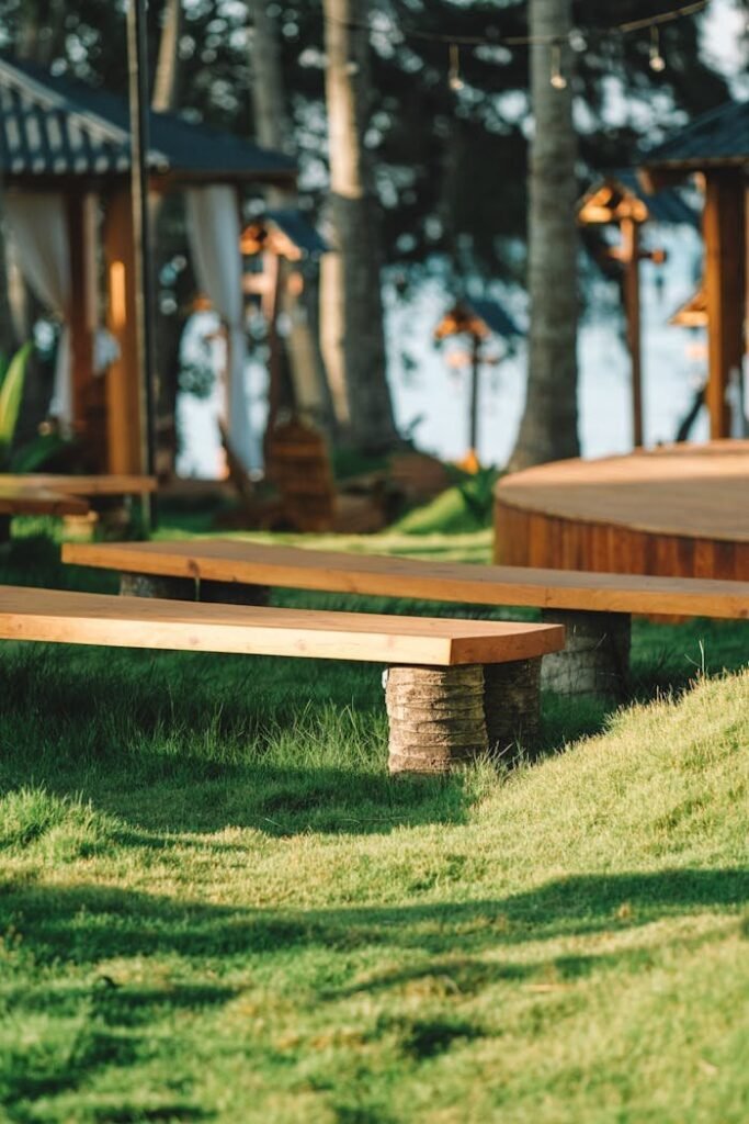 pexels photo 27077739.jpeg