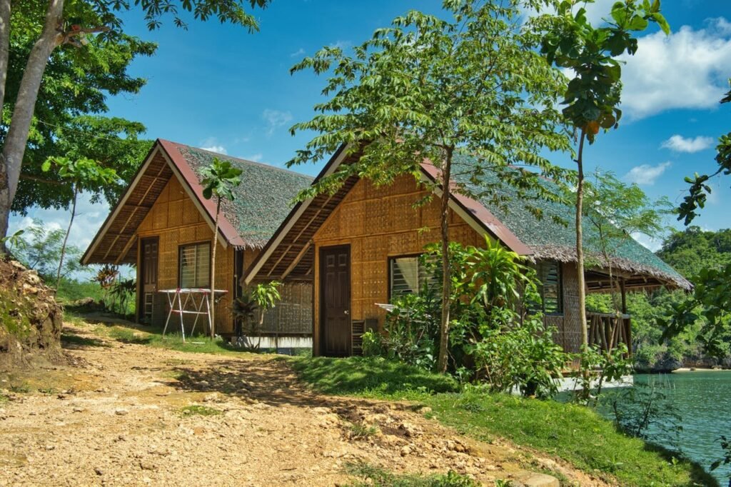 pexels photo 32674064.jpeg