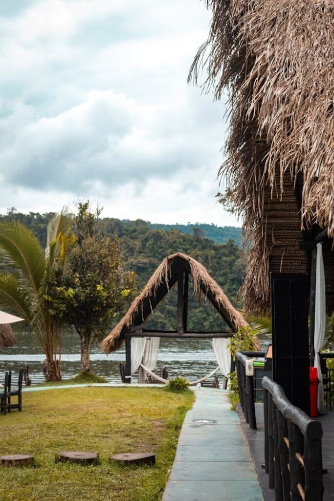 pexels photo 33827888.jpeg