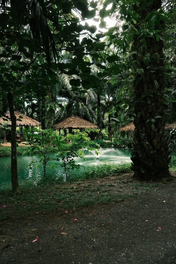 pexels photo 34118454.jpeg