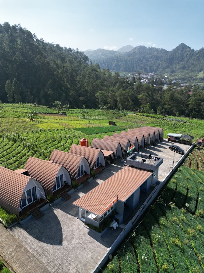 pexels photo 34438760.jpeg