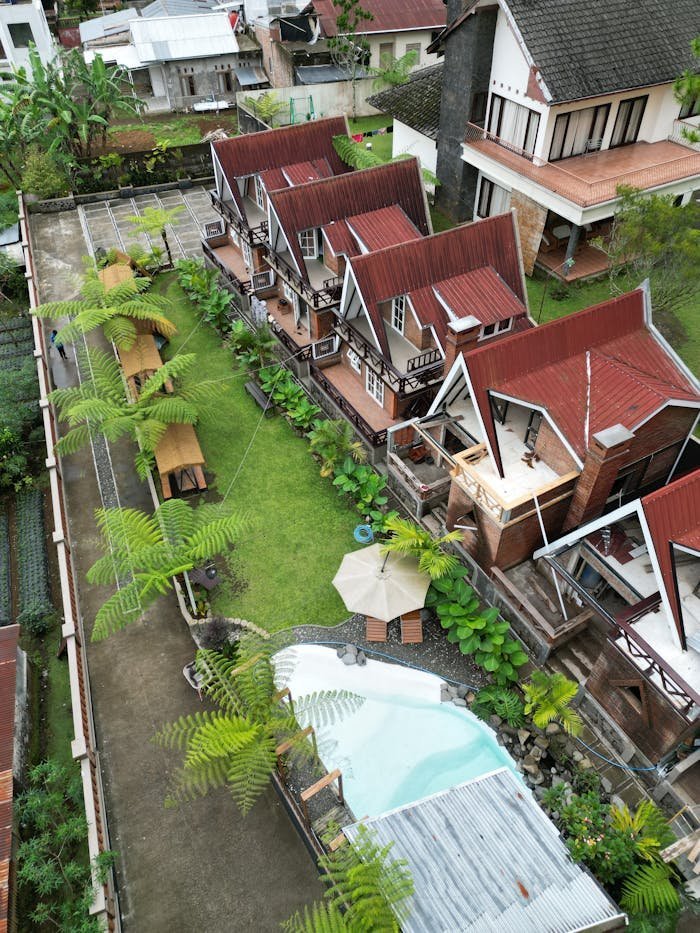 pexels photo 34715664.jpeg