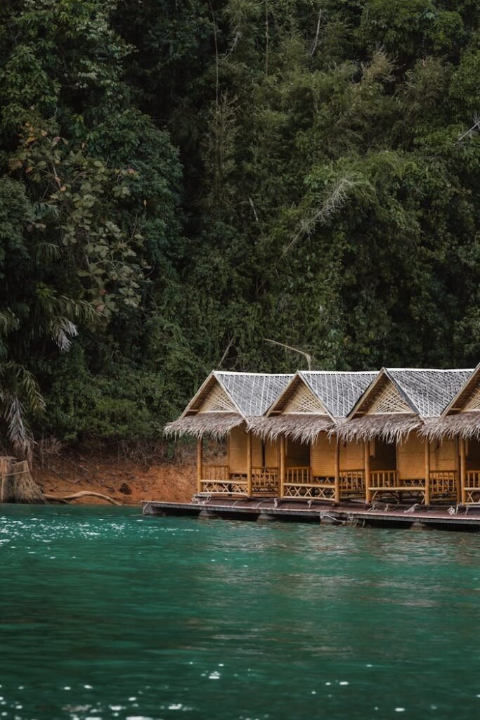 pexels photo 37075048.jpeg