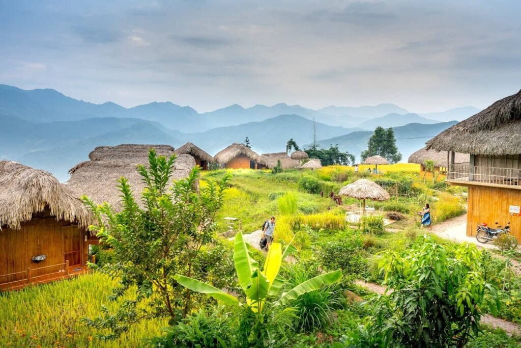 pexels photo 6129514.jpeg