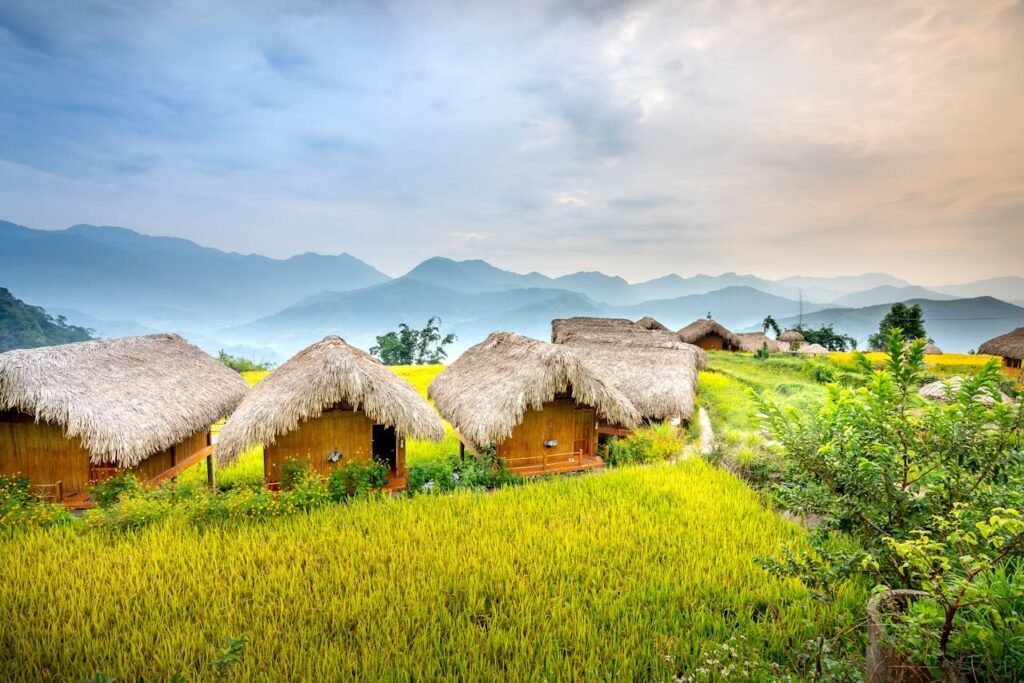 pexels photo 6129518.jpeg