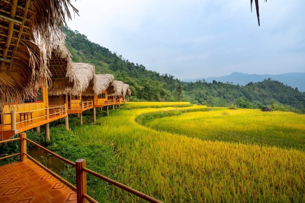 pexels photo 6129527.jpeg